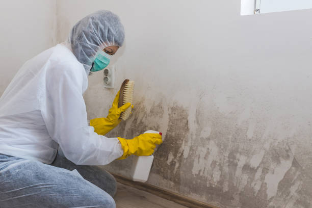 Crawl Space Mold Removal in Picture Rocks, AZ
