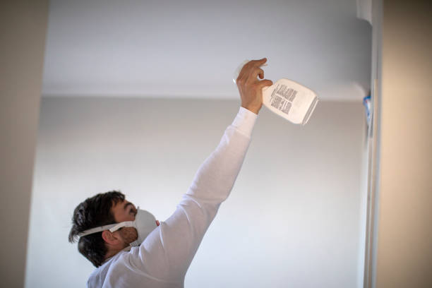 Mold Removal Process in Picture Rocks, AZ